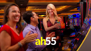 Premium Interface ah55